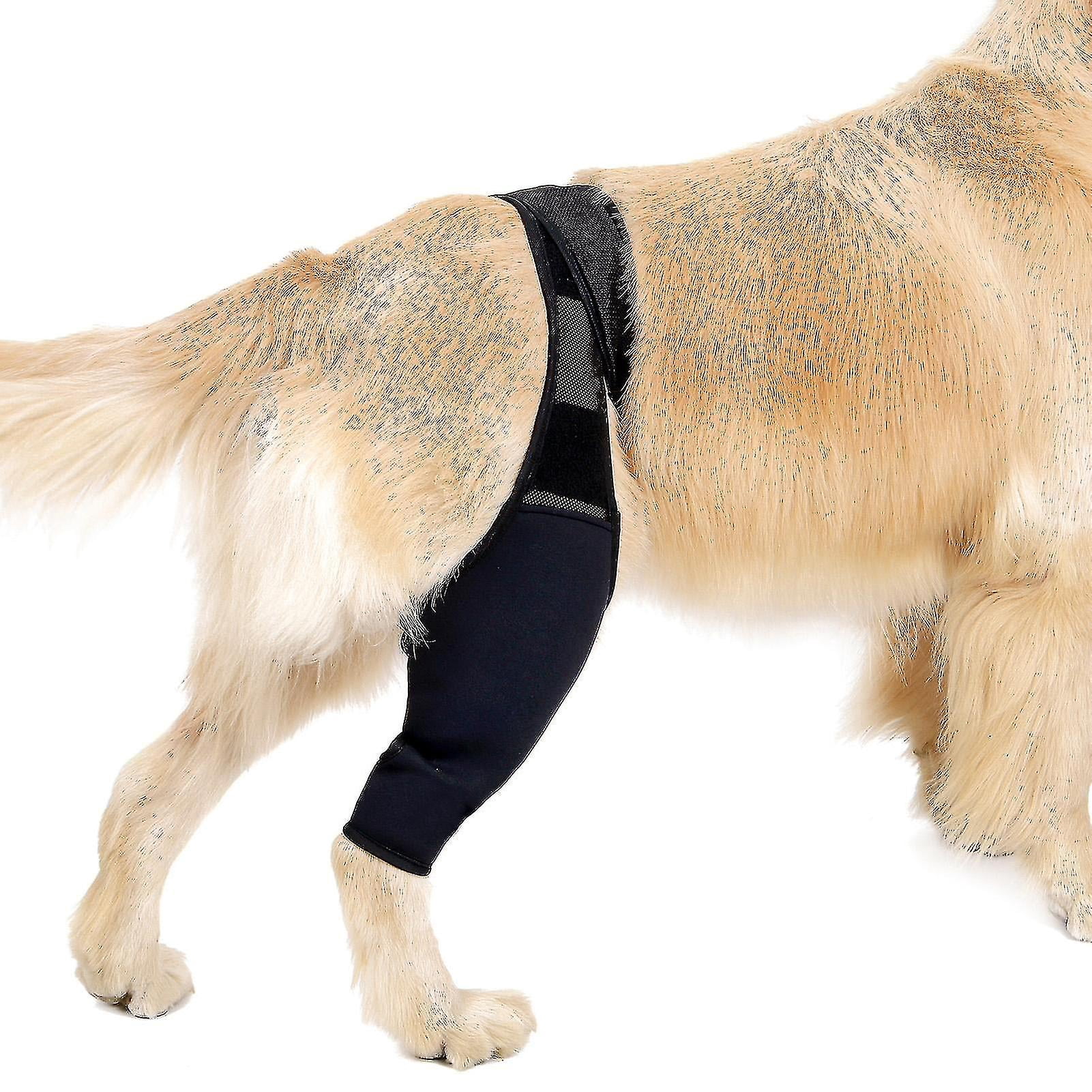 Manchon de Récupération pour Chien Support avant Arrière pour Blessure Entorse Soulage la Douleur