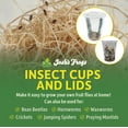 Josh's Frogs 32oz Insect Cups, Fabric Vented Lids, Tall 10 Pack for ...