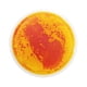 thumbnail image 3 of Tapete de juego de actividades sensoriales Liquid Sensory Floors Tapete de juego de actividades multicolor para naranja, 3 of 9