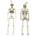 thumbnail image 2 of 5 Packs Halloween Skeleton Decoration  16‘‘ Halloween Decorations Full Body Posable Skeletons Props with Movable Joints, 2 of 2