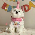thumbnail image 4 of Gorro y bufanda para fiesta de cumpleaños de mascotas, baberos para perros y gatos y gorros para disfrazarse de mascotas, gorros para gatos y toalla para saliva, estética elegante, 4 of 10