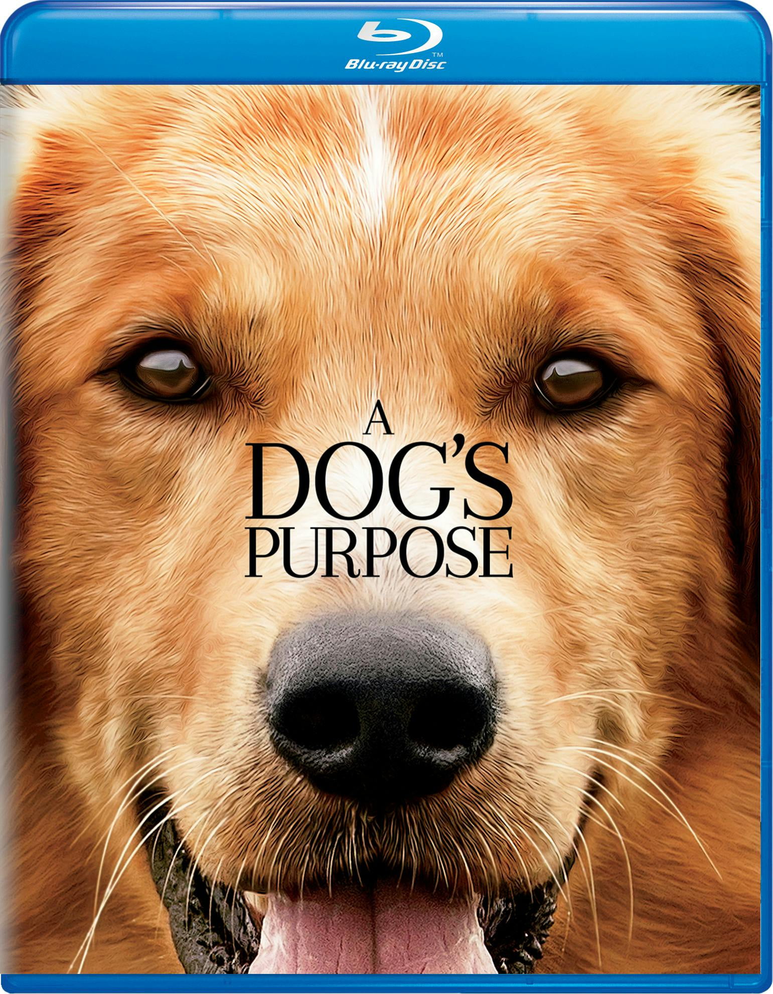 その他 A Dog&#39;s Journey / A Dog&#39;s Purpose [DVD] A Dog's Journey / a Dog's Purpose (DVD) 191329108291| eBay