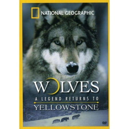National Geographic: Wolves, A Legend Returns To Yellowstone - Walmart.com
