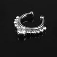 thumbnail image 2 of Colgador de Clip No Perforante con de Tabique Falso de Cristal Plateado Yinane, 2 of 7