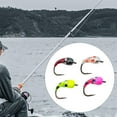 thumbnail image 1 of 4 para pesca en hielo con caja de almacenamiento, tamaño 10, con anzuelo que se hunde, señuelos para pesca con mosca para perca, trucha, pargo,, 1 of 8