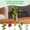 thumbnail image 4 of Imountek Indoor Glass Propagation Stations for Plant, 2 Large 2 Small Hydroponic Plant Vases with Cork Lids, 4 of 9