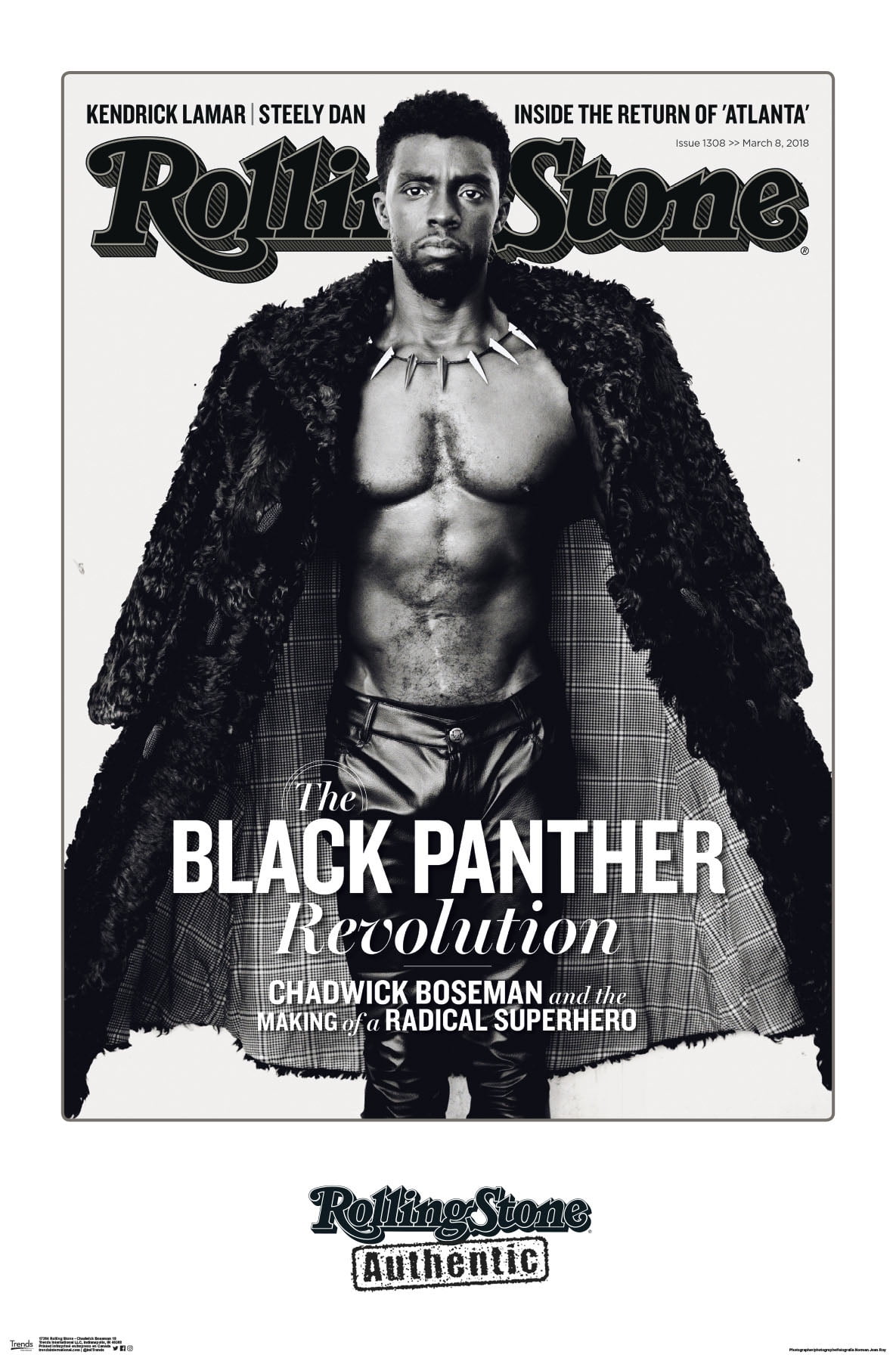 Black Panther Chadwick 2018 Movie poster 36''X24''Inch  07 
