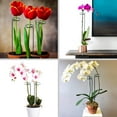 thumbnail image 4 of 5PCS Plant Support Stakes 45cm Garden Plant Flower Support Ring Cage Plant Climbing Support with 10pcs Plant Support Clips for Peony  Tomato Vegetable  Hydrangea  Rose  Lily, 4 of 11
