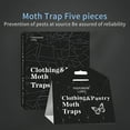 thumbnail image 6 of ACDANC Trap Pantry Clothes Moth Traps Sticky Glue Traps for Effective Clothes Moth Control Eco-friendly Odorless Safe to Use Professional-grade for Closet, 6 of 7