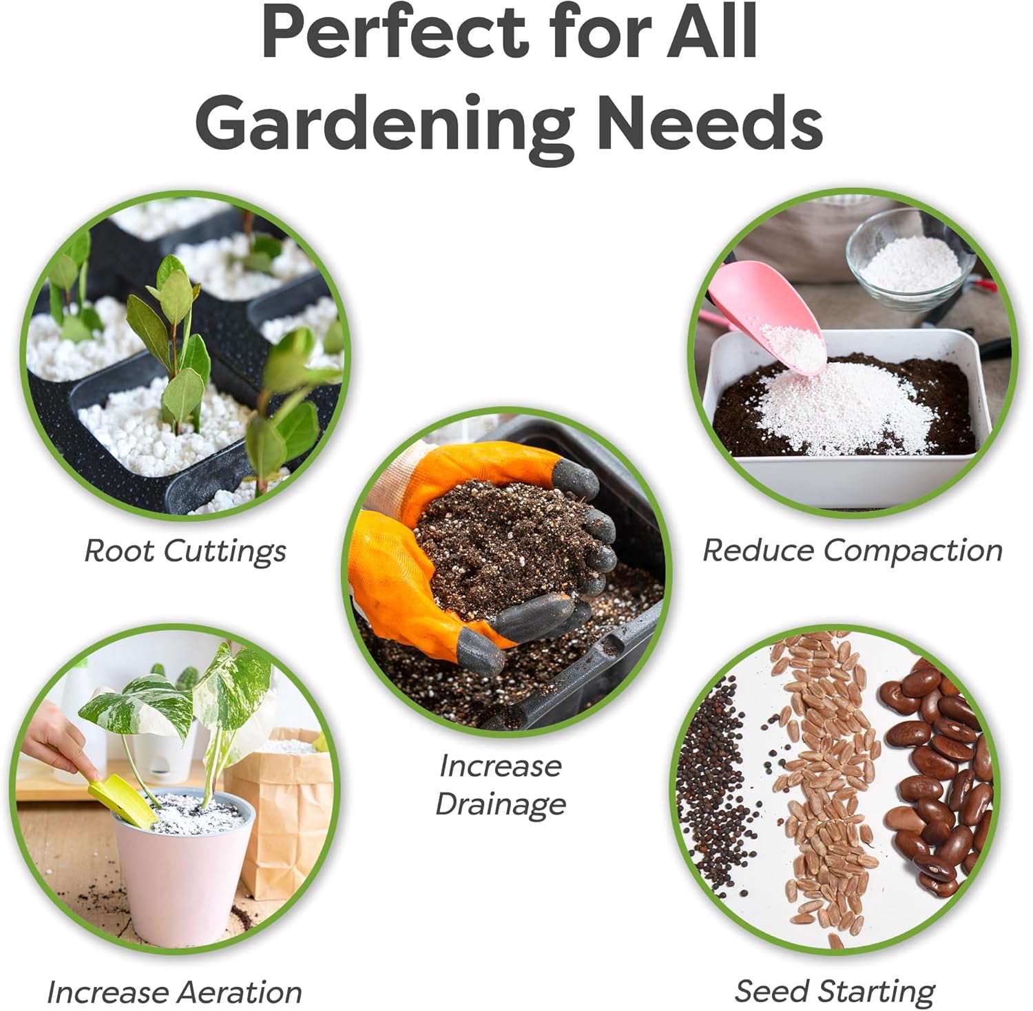 Organic Perlite by — Add to Soil for Indoor & Outdoor Container Plants for Drainage Management and Enhanced Growth (8qts.)