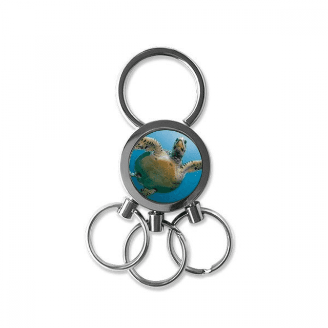 Porte-clés en Métal Inoxydable Image nature Tortue d'Eau Bleu Océan
