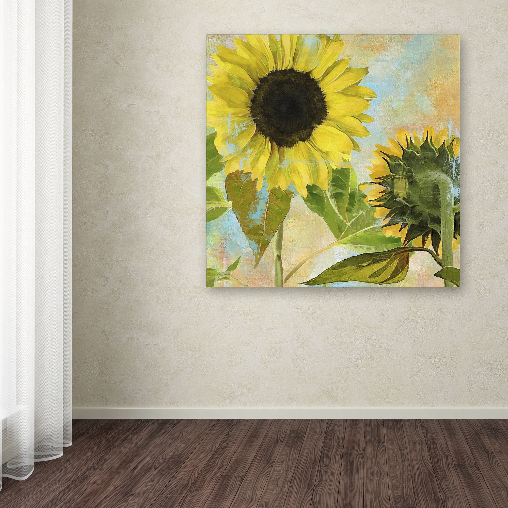 Trademark Fine Art "Soleil I" Canvas Art by Color Bakery
