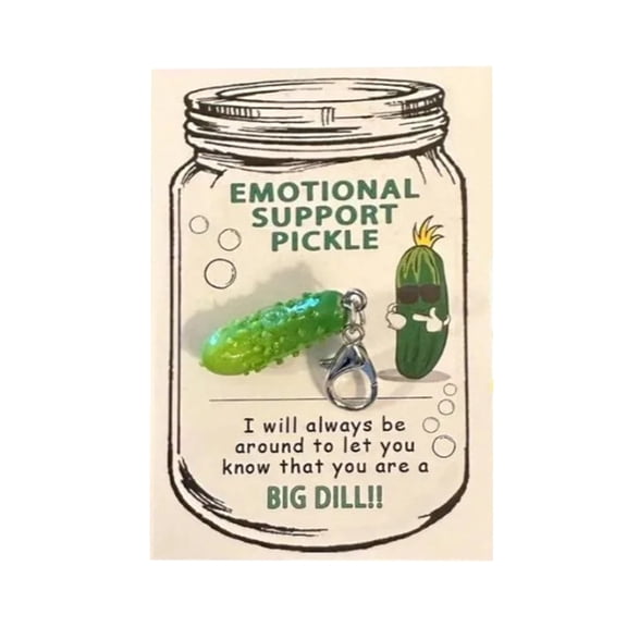 Joernso 1/2/3 Sets Emotional Support Pickle Keychain Pickle Design Pendant with Pocket Hugs Card Fine Craftsmanship Metal Resin Keyring Positive Gift