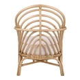 thumbnail image 4 of NPD Furniture Lana Rattan Accent Arm Chair, 4 of 10
