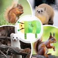 thumbnail image 3 of Ferret Harness and Lead Rope Adjustable Small Animal Vest For Training Hamster Hedgehog Bunny Puppy Kitten Raccoon Green, 3 of 5