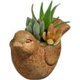thumbnail image 2 of Classic Home and Garden Cement Buddies Indoor/Outdoor Planter with Drainage Hole, Bird, Rust, Small, 6", 2 of 4