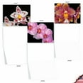 thumbnail image 5 of 10 Assorted All Occasion Blank Note Cards with Envelopes (4 x 5.12 Inch) - ORCHID NIGHTS M1734BN, 5 of 6