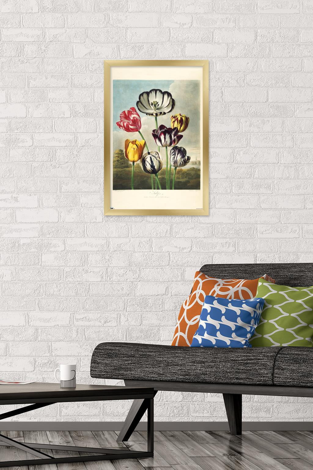 Tulips from the The Temple of Flora Wall Poster, 14.725" x 22.375" Framed