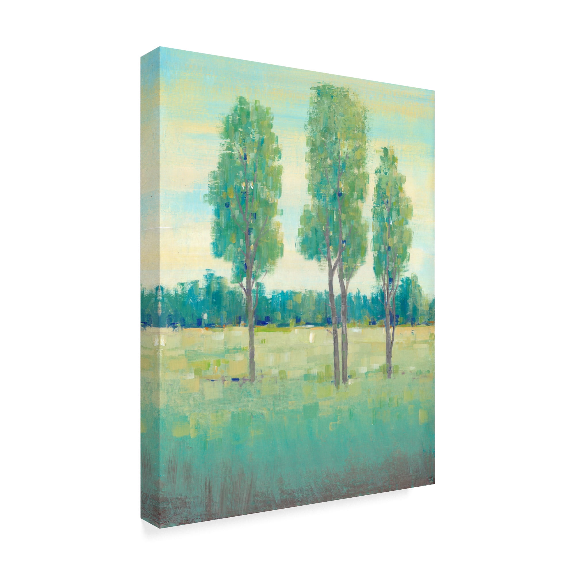 Trademark Fine Art 'Spring Day I' Canvas Art by Tim OToole