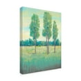 thumbnail image 2 of Trademark Fine Art 'Spring Day I' Canvas Art by Tim OToole, 2 of 4