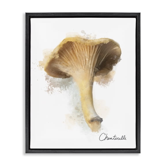 Stupell Industries Modern Abstract Chanterelle Mushroom Black Floating Frame Canvas Art, 17 x 21, by Matthew Piotrowicz