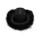 thumbnail image 1 of Sombrero vaquero rosa con plumas boa plumas esponjosas Brim sombrero vaquero de tamaño adulto para fiestas de ropa para mujeres solteras, 1 of 5