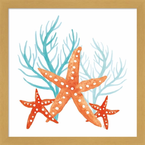 Great Art Now Coral Aqua XIV by Tara Reed, Framed Wall Art, 13.25W x 13.25H