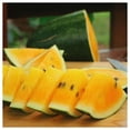 thumbnail image 3 of Everwilde Farms - 1 lb Tendersweet Orange Watermelon Seeds - Gold Vault Bulk Seed Packet, 3 of 3