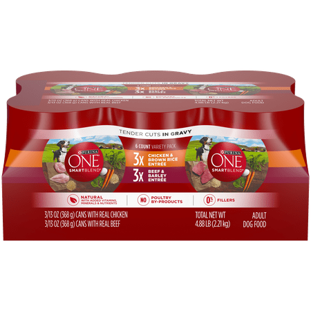 Purina ONE Natural, High Protein Gravy Wet Dog Food Variety Pack; SmartBlend Tender Cuts in Gravy - (6) 13 oz.
