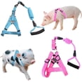 thumbnail image 1 of Mini Pig Harness & Leash Set, 2-Piece Adjustable Small Pet Pig Harness for Walking, 1 of 5
