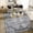 Gray, variant on Nanan 5'x7' Vintage Outdoor Rug,Medal Pattern Waterproof UV Resistant Retro Area Carpet, Foldable Reversible Non Slip Design For Patio Garden Balcony Backyard Decor, Grey Blue