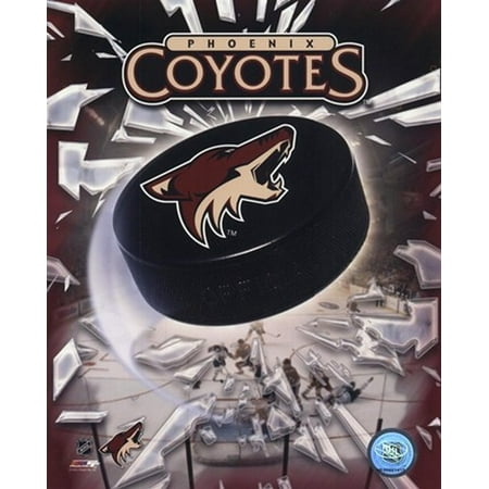 - Phoenix Coyotes 2005 - Logo Puck Sports Photo