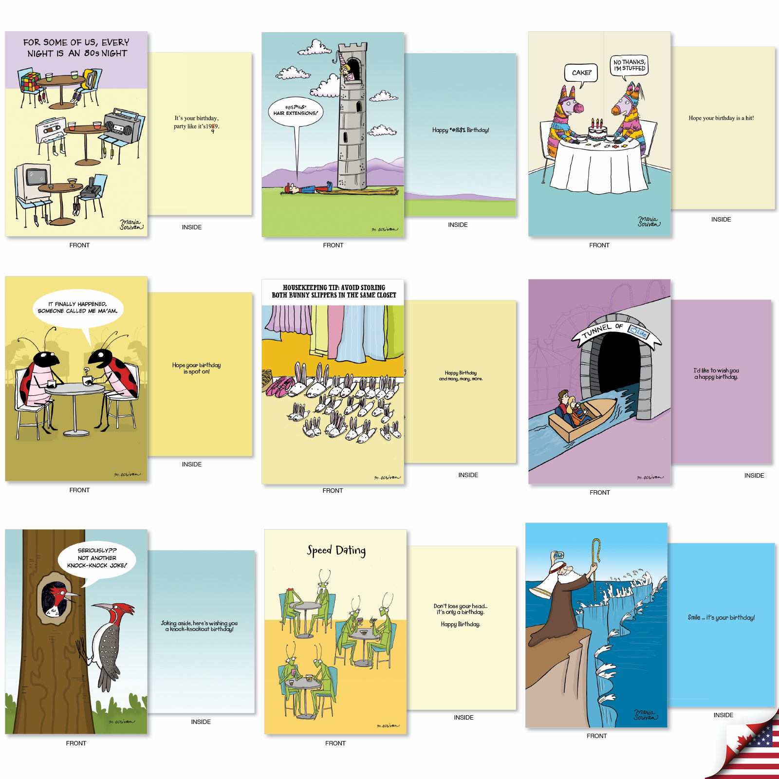 NobleWorks 36 Assorted Box Set Funny Birthday Greeting Cards w/5 x 7 Inch Envelopes (36 Designs, 1 Each) Bday Maria Scrivan's Celebrate AC7741BDG-B1x36