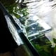 thumbnail image 5 of Wdftyju 6mm 8mm 10mm 12mm 4 Uds cubierta de cristal acrílico para acuario Clip de soporte para tapa de tanque de peces Wdftyju  5rf2xx7ea3hw6tg8D04, 5 of 8