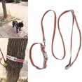 thumbnail image 4 of Collar De Perro Ajustable, Collar De Perro Y Correa De Algodón De Poliéster Reflectante Para Pasear Perros ANGGREK Otros, 4 of 8