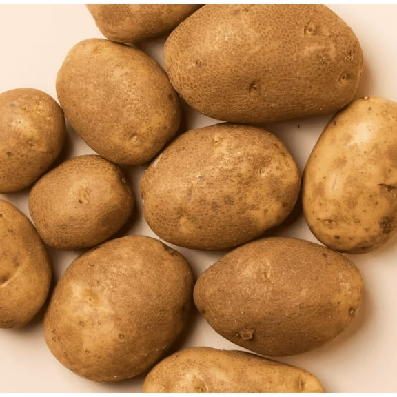 2 Lbs Russet Potatoes Whole Tubers Seeds Potatoes Brown Potato Seeds for Planting