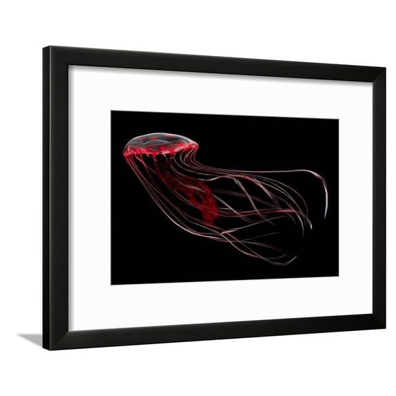 A Bioluminescent Red Jellyfish, Animals Framed Art Print Wall Art Sold by Art.Com
