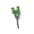 thumbnail image 3 of Faux Succulent Plants, 3 of 4
