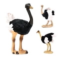 thumbnail image 4 of Solid Simulation Animal Ostrich Model Home Decoration Accessory Model Display, 4 of 7