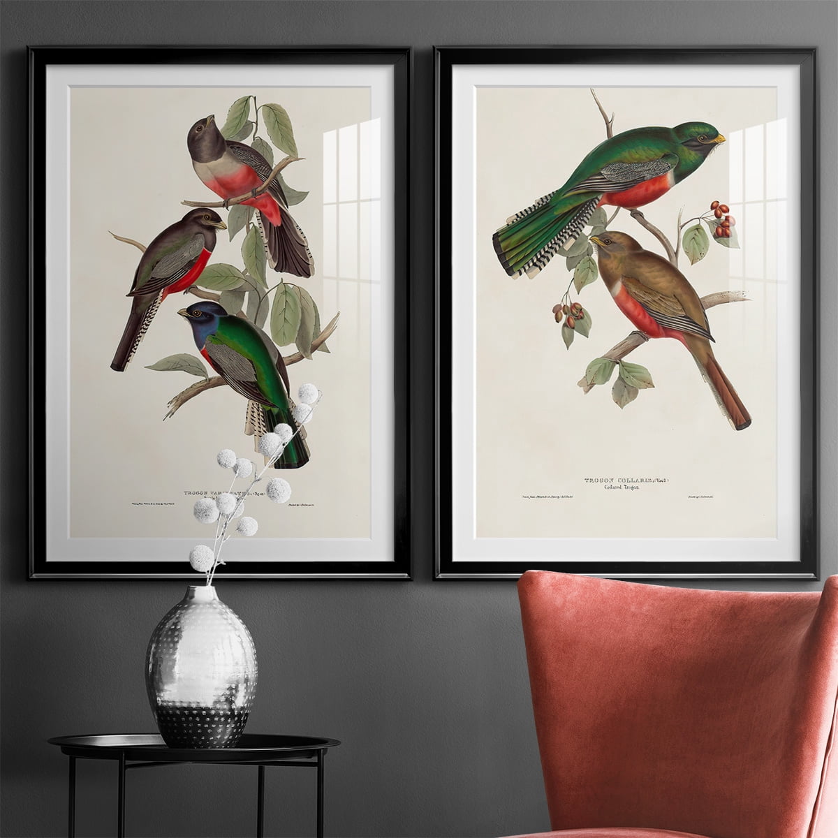 Wexford Home Elegant Trogons V Premium Framed Print, 22.5" x 30.5" - Ready to Hang, Black (Set of 2)