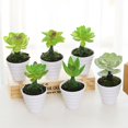 thumbnail image 2 of Decorative Simulation Plants Vivid Fresh Keeping Vibrant Artificial Succulent Bonsai Home Decor, 2 of 10