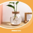 thumbnail image 3 of LABRIMP plant propagation jars Hydroponic Flower Vase Cylindrical Glass 1 Set, 3 of 8