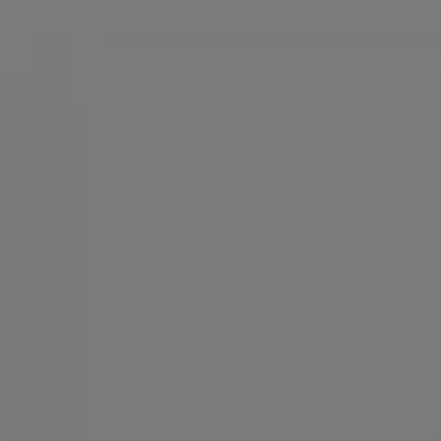 Pewter, Seal-Krete Porch & Floor Concrete & Wood Satin Paint-316128, Gallon