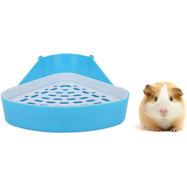 9+ Ferret Litter Box
