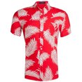 thumbnail image 1 of Blusa de camisa de manga corta con solapa de moda informal con patrón estampado para hombre Pompotops oipoqjl47118, 1 of 8