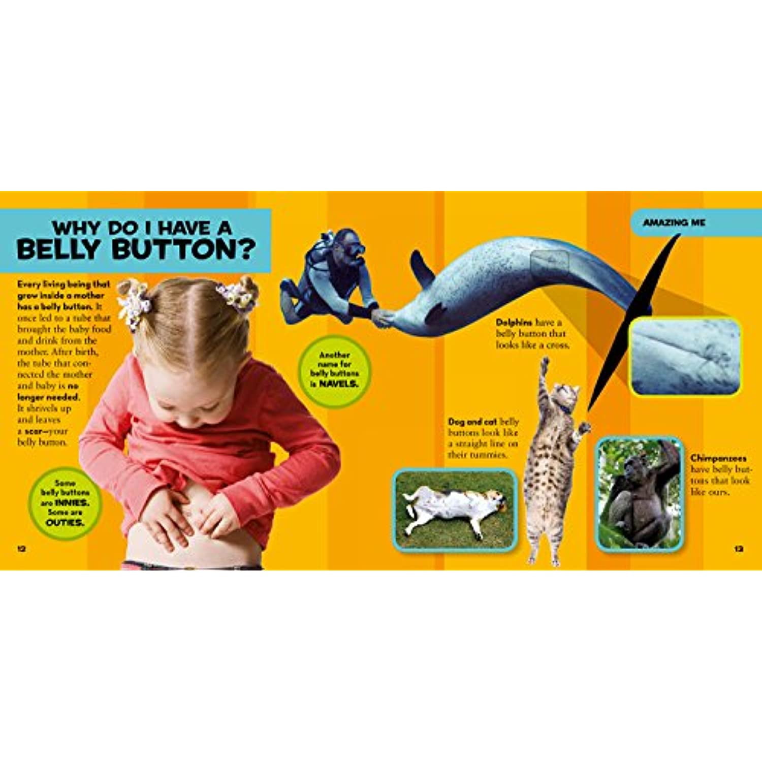 National Geographic Little Kids First Big Book of Why National Geographic Little Kids First Big Book of Why