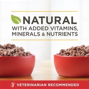 Purina ONE True Instinct Classic Ground Grain-Free Formulas With Real Turkey and Venison, and With Real Chicken and Duck Wet High Protein Dog Food Variety Pack