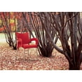 thumbnail image 3 of Compamia Romeo Resin Patio Dining Arm Chair in Red, 3 of 5