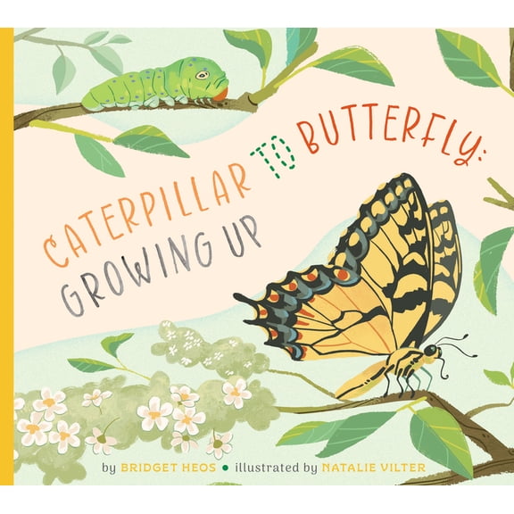 Caterpillar to Butterfly: Growing Up, (Paperback)