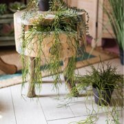 Artificial Faux Usnea Vine Stem 22 Long